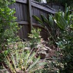 20181224 134105 mobile phone house and backyard progress