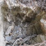 20200418 102117 mobile phone backyard progress early days of jackhammering