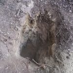 20200418 111626 mobile phone backyard progress early days of jackhammering