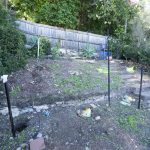 200714 backyard bomb site 20200714 102723 backyard bomb site DSC5979 - (Sony ILCE-7 14.0mm 1-20sec f8.0 100iso Flash Off,Didnotfire backyard bomb site)