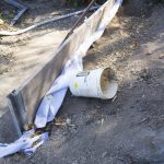 200928 leaf curling spider and backyard progress 20200928 092449 DSC7477 leaf curling spider and backyard progress - (SONY ILCE-7 28.0mm 1-50sec f6.3 100iso Flash Off,Didnotfire)