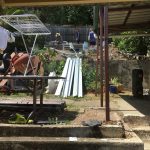 20201011 110005 backyard progress