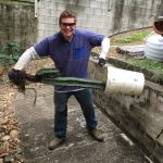 20201027 113001 backyard cactus removal backyard progress