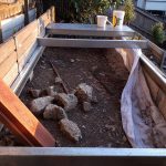 20201029 175210 backyard