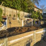 201112 lone pine sanctuary and backyard progress 20201112 174045 DSC9361 lone pine sanctuary and backyard progress - (SONY ILCE-7 14.0mm 1-30sec f8.0 50iso Flash On,Returnnotdetected)