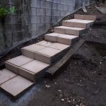 210109 julians birthday - 20210109 085800 backyardsteps by george 2