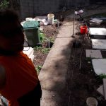 20210110 094445 backyard progress 06