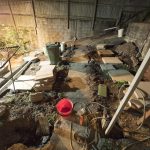 210110 backyard progress 20210110 205237 P1100056 backyard progress - (Olympus E-M5MarkII 7.0mm 1-8sec f2.8 1000iso Flash On,Didnotfire)