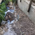 20210429 022452148 backyard progress 1