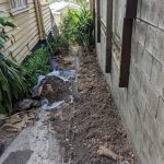 20210429 022452148 backyard progress acd92f94