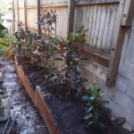 210808 backyard progress irrigation and bottom garden - 20210511 163024 backyard progress 01