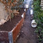 20210511 163044 backyard progress