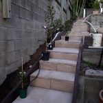 20210523 162824 backyard progress