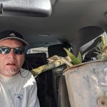 20210602 234945875 backyard progress frontyard dirty dirt