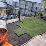 20210713 133001 backyard progress laying grass