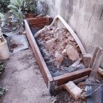 20210824 170052640 backyard progress