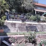 20210831 125100757 backyard progress