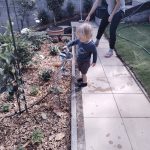 20210925 091254630 backyard julian watering plants