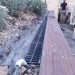 20211006 165615740 backyard progress side fern garden