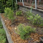 211201 backyard progress aftermath of heavy rain 20211201 110250 DSC8073 backyard progress aftermath of heavy rain - (SONY ILCE-7 28.0mm 1-30sec f7.1 200iso Flash Off,Didnotfire)