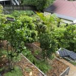 211201 backyard progress aftermath of heavy rain 20211201 110318 DSC8076 backyard progress aftermath of heavy rain - (SONY ILCE-7 28.0mm 1-30sec f7.1 200iso Flash Off,Didnotfire)
