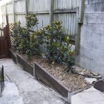 211211 backyard progress garden nearing completion 20211211 071715 DSC8255 backyard progress garden nearing completion - (SONY ILCE-7 28.0mm 1-30sec f6.3 160iso Flash Off,Didnotfire)