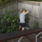 211211 backyard progress garden nearing completion 20211211 085948 DSC8339 backyard progress garden nearing completion - (SONY ILCE-7 28.0mm 1-250sec f7.1 800iso Flash Off,Didnotfire)