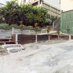 backyard progress garden is planted