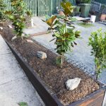 backyard progress front yard irrigation and bark