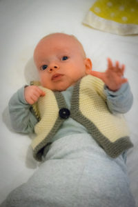 20200420 195224 mount cootha with julian and lorikeet